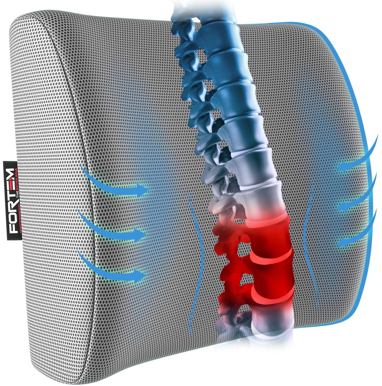 FORTEM Cojín Lumbar Ergonómico para Silla de Oficina, Coche y Gaming, con Espuma Viscoelástica de Alta Densidad y Funda Lavable, Respaldo Ortopédico para Mayor Comodidad