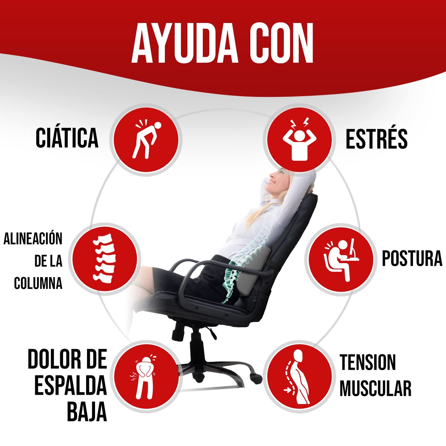 FORTEM Cojín Lumbar Ergonómico para Silla de Oficina, Coche y Gaming, con Espuma Viscoelástica de Alta Densidad y Funda Lavable, Respaldo Ortopédico para Mayor Comodidad