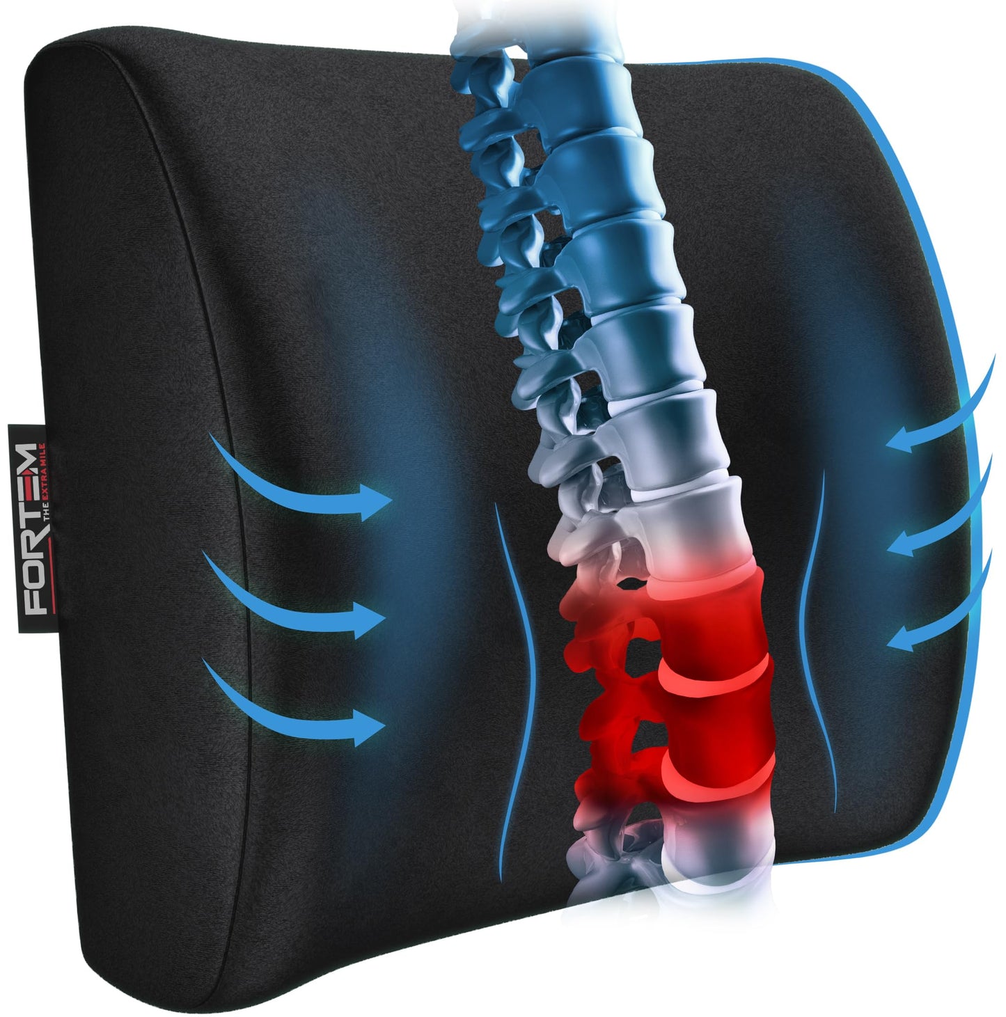 FORTEM Cojín Lumbar Ergonómico para Silla de Oficina, Coche y Gaming, con Espuma Viscoelástica de Alta Densidad y Funda Lavable, Respaldo Ortopédico para Mayor Comodidad
