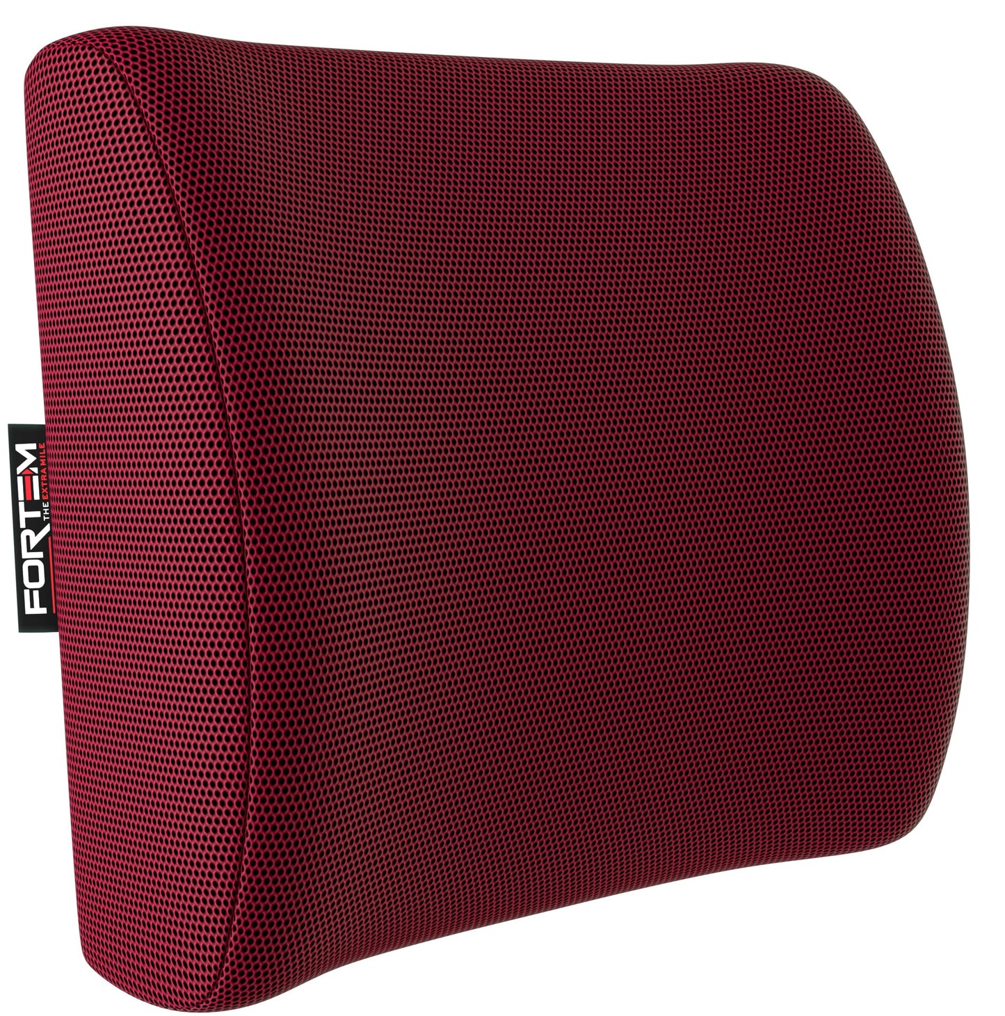 FORTEM Cojín Lumbar Ergonómico para Silla de Oficina, Coche y Gaming, con Espuma Viscoelástica de Alta Densidad y Funda Lavable, Respaldo Ortopédico para Mayor Comodidad