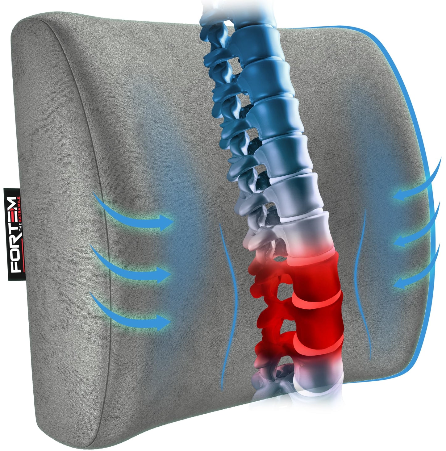 FORTEM Cojín Lumbar Ergonómico para Silla de Oficina, Coche y Gaming, con Espuma Viscoelástica de Alta Densidad y Funda Lavable, Respaldo Ortopédico para Mayor Comodidad